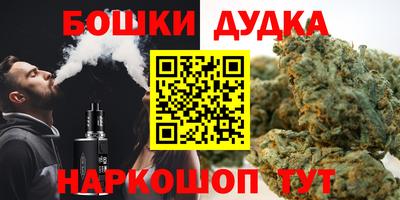 МДПВ Ливны