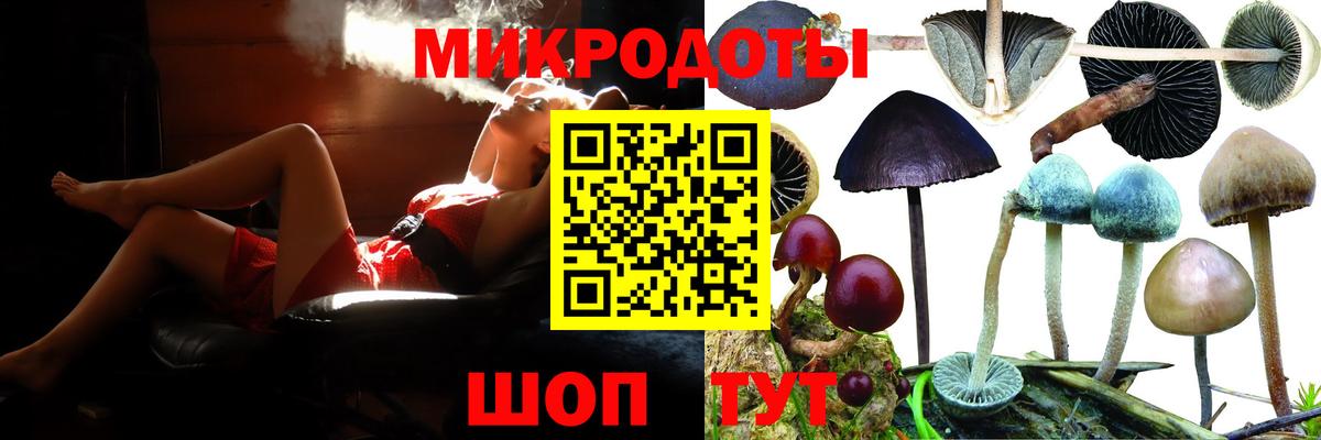 Галлюциногенные грибы Psilocybine cubensis  Вход с VPN  Фролово 